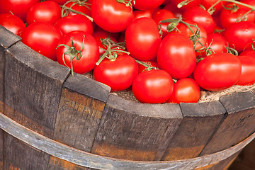 Image showing Fresh red tomatoes in a wooden bucket