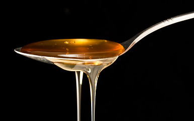 Image showing honey