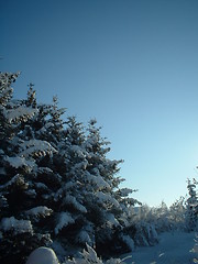 Image showing Winter in Leknes