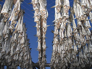 Image showing Drying fish