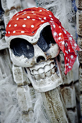 Image showing Pirate skelton, halloween image