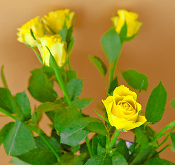 Image showing Yellow Roses