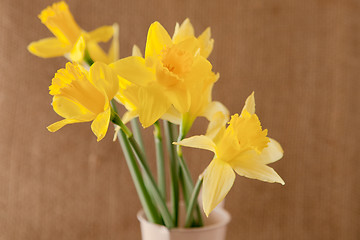 Image showing daffodils