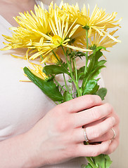 Image showing chrysanthemum