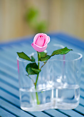 Image showing Pink rose in a glass vase 