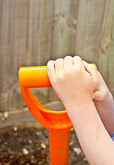 Image showing Young child's hands holding the hanÉdle of a gardening spade