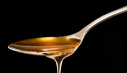 Image showing honey