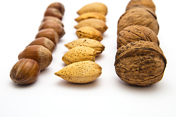 Image showing nuts