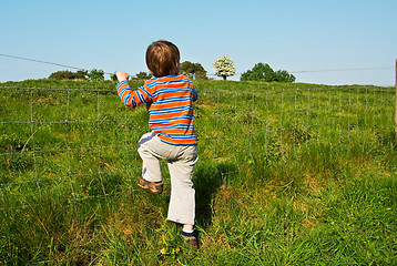 Image showing Young boy