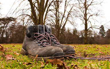 Image showing hiking shoes