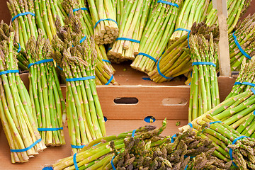 Image showing asparagus