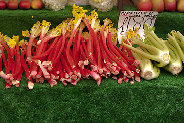 Image showing rhubarb