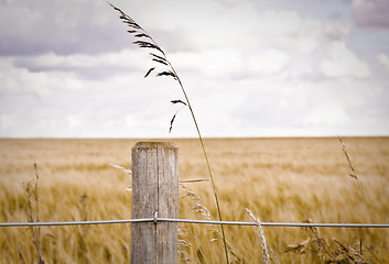 Image showing Fence post