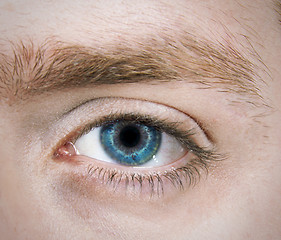 Image showing Single Blue Eye