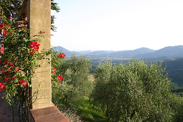 Image showing Tuscany view