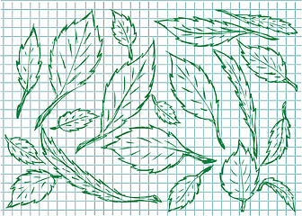 Image showing leaf background