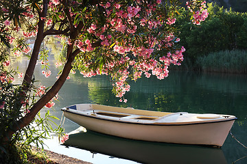 Image showing Boat on the river