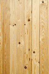 Image showing Texture of pine wood