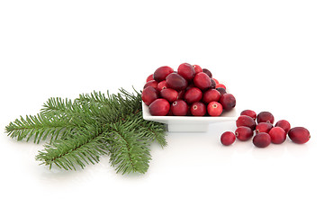 Image showing Cranberry Fruit and Spruce