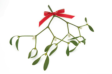 Image showing Mistletoe