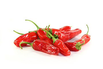 Image showing Spice paprika