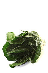 Image showing Chard