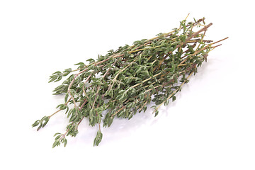 Image showing Thyme