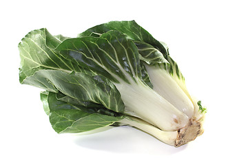 Image showing Chard