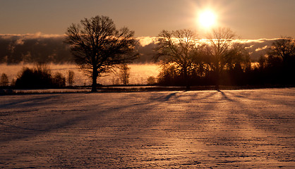 Image showing Morning sun in winter time