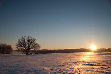 Image showing Afternoon winter sun in Norway