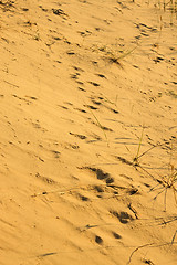 Image showing Yellow desert sand