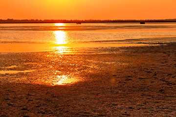 Image showing Setting sun flare over the swamp