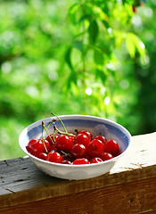 Image showing Sweet cherries