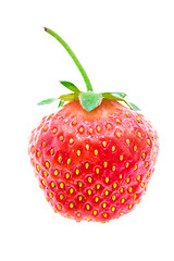 Image showing Strawberry