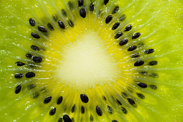Image showing Green a kiwi