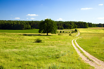 Image showing Road leaving in the field