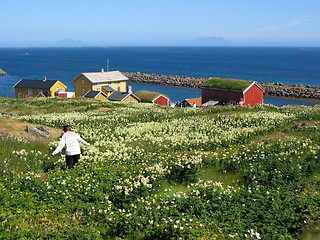 Image showing Norwegian coast