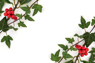 Image showing Holly and Ivy Abstract Border