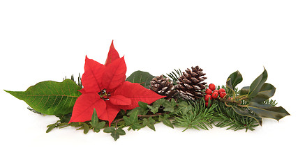 Image showing Poinsettia and Winter Fauna