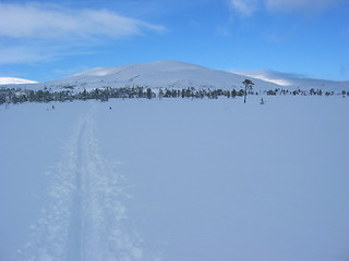 Image showing Winter in Norway