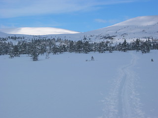 Image showing Winter in Norway