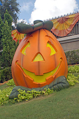 Image showing Pumpkin