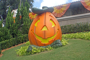 Image showing Pumpkin