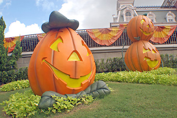 Image showing Pumpkins