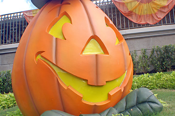 Image showing Pumpkin