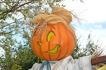 Image showing Pumpkin