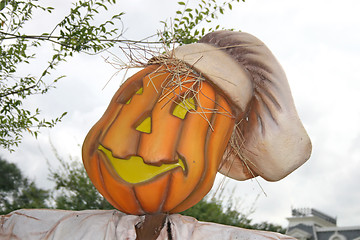 Image showing Pumpkin