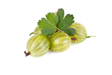 Image showing gooseberries