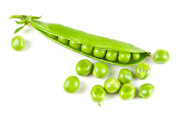Image showing Ripe pea