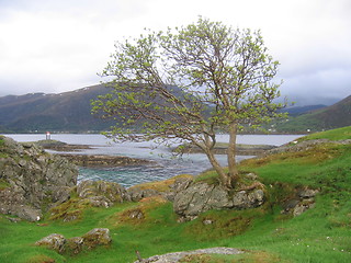 Image showing Flåvær II